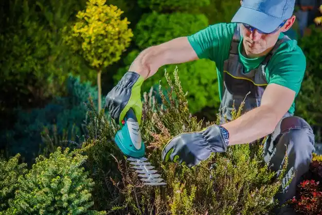 landscaping services Fancy Farm